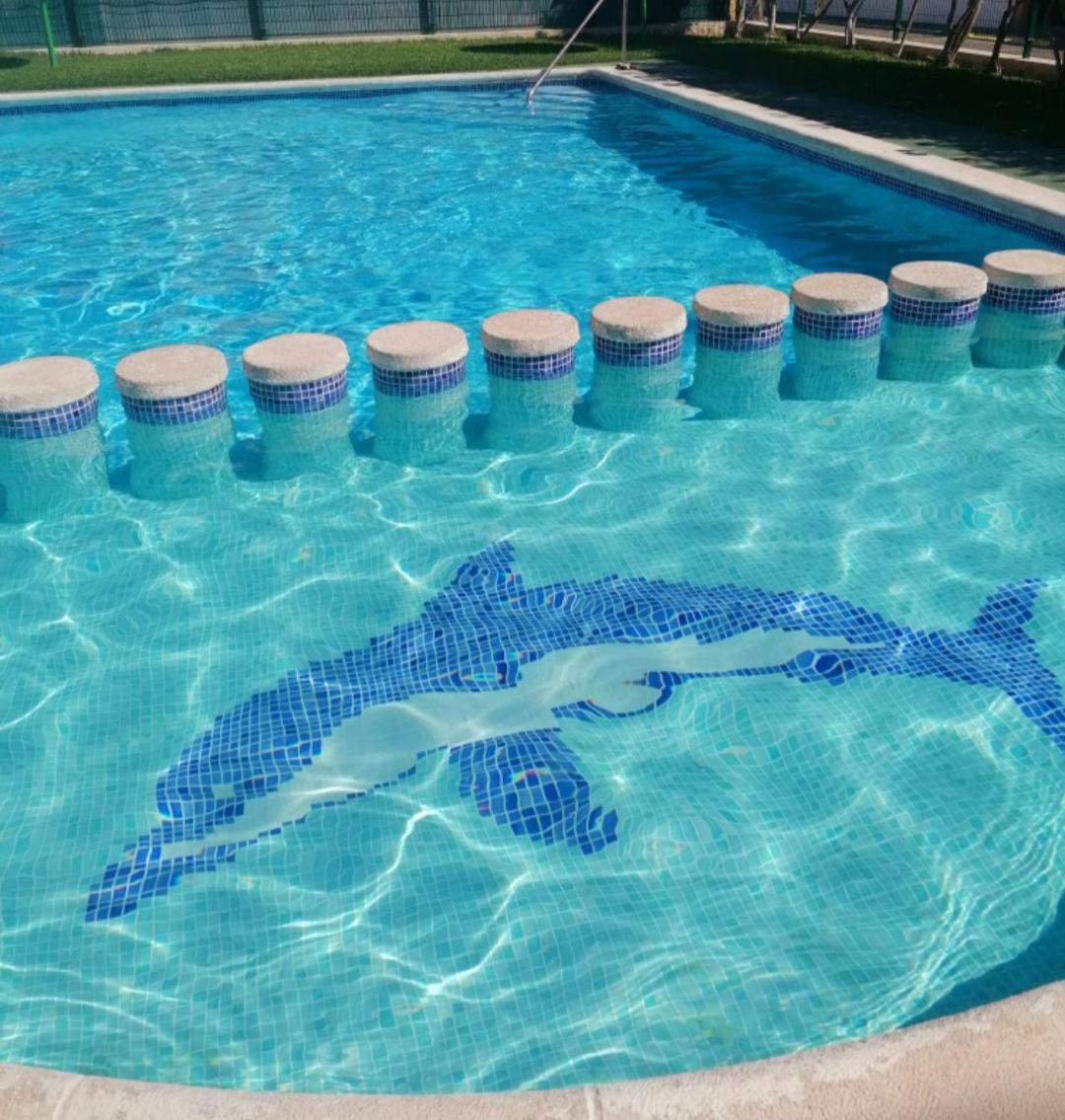 Apartament Casa Del Gato Rojo , Communal Swimming Pool , Terrace With Barbecue Torrevieja Dış mekan fotoğraf